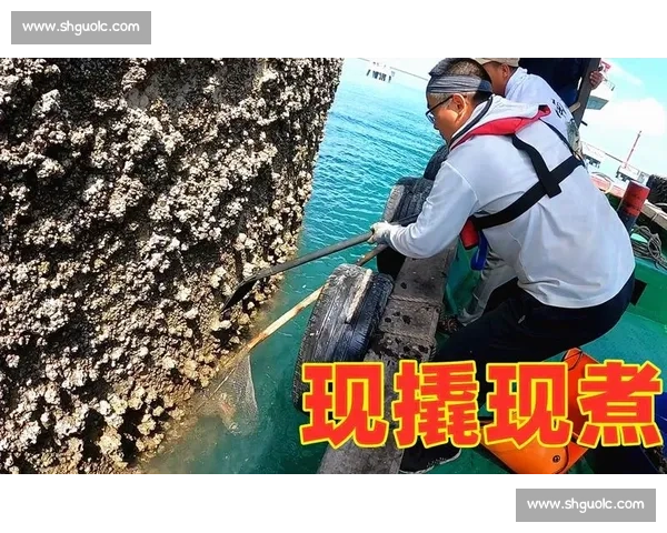 深海作业直击!第一视角体验船舶藤壶清理的硬核挑战 深海作业直击!第一视角体验船舶藤壶清理的硬核挑战