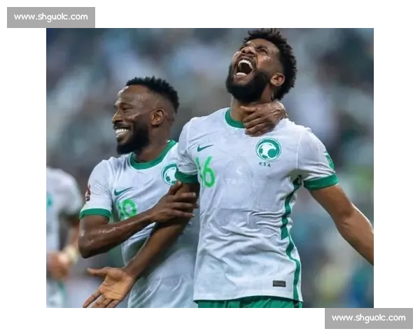 澳洲足球航母碾压亚洲足坛 亚洲杯格局十年未改一超多强 澳洲足球航母碾压亚洲足坛 亚洲杯格局十年未改一超多强